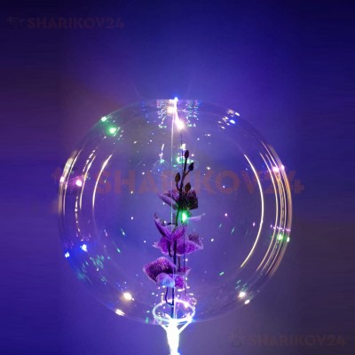 Светящаяся сфера на палке, Орхидея фиолетовая 580