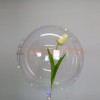 Светящаяся сфера на палке, Тюльпан 573
